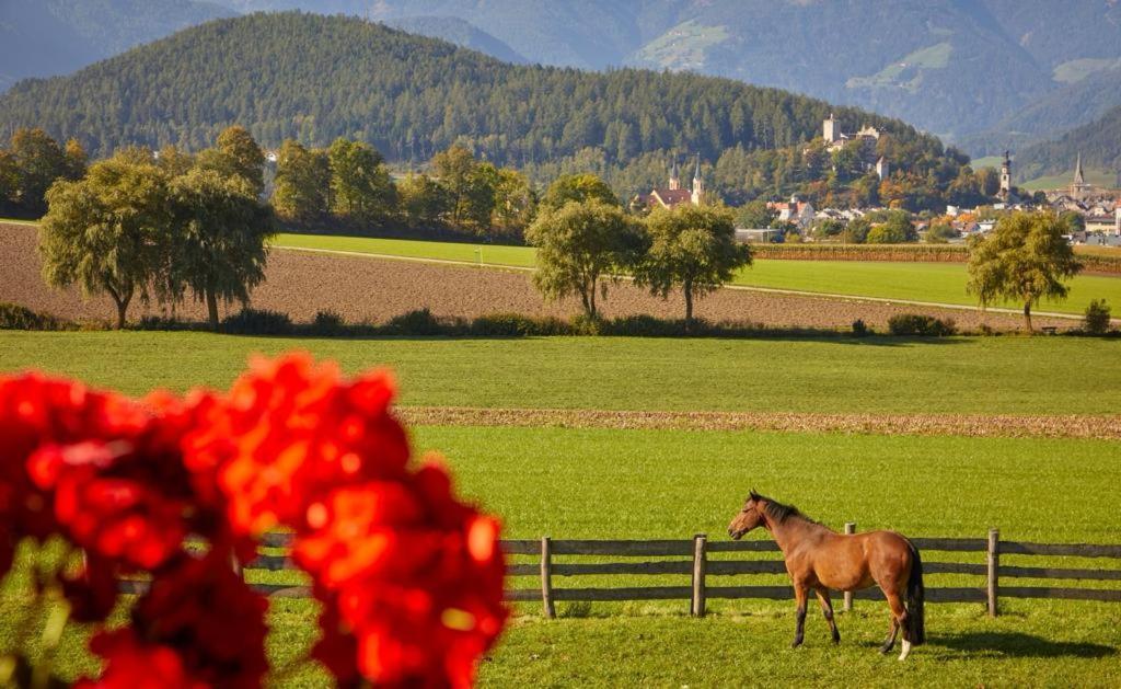 Schoenhuberhof Apartment Panoramablick บรูนิโก ภายนอก รูปภาพ